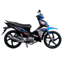 p4xpv0-new-bike-021-2