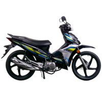 p4xpv0-new-bike-021-3
