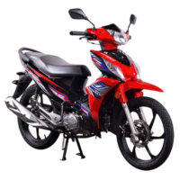 p4xpv0-new-bike-022-1