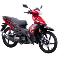 p4xpv0-new-bike-042-1