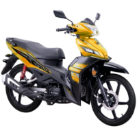 p4xpv0-new-bike-042-3