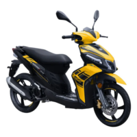 p4xpv0-new-bike-061-1
