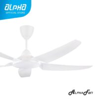 AX666 (DC) 5B_56 WHITE-4